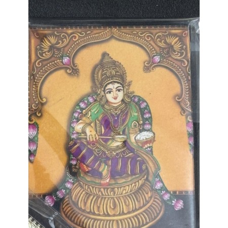 Fridge Magnets Pack of 3